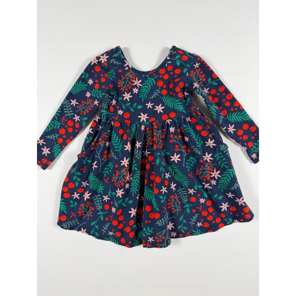 Hanna Andersson Organic Cotton Berry Floral Long Sleeve Dress Size 3 Holiday